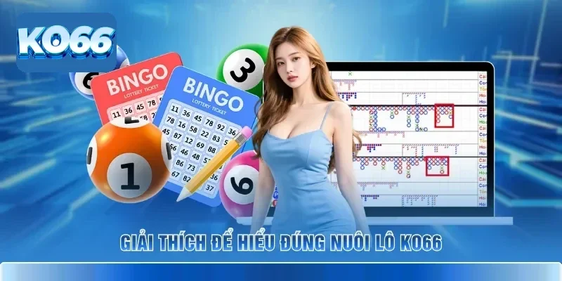 Nuôi Lô KO66 Và 5 Kỹ Thuật Theo Số Hiệu Quả Nhất 2026 2 Giải thích để hiểu đúng nuôi lô KO66